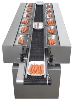Linear Multihead Weighers