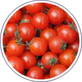 Envasado de tomates cherry