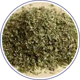 Oregano