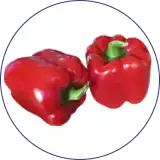 Pimientos rojos